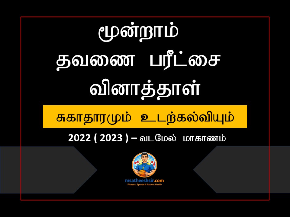 வினாத்தாள்-Grade 11 Third Term Examination Paper PDF Download